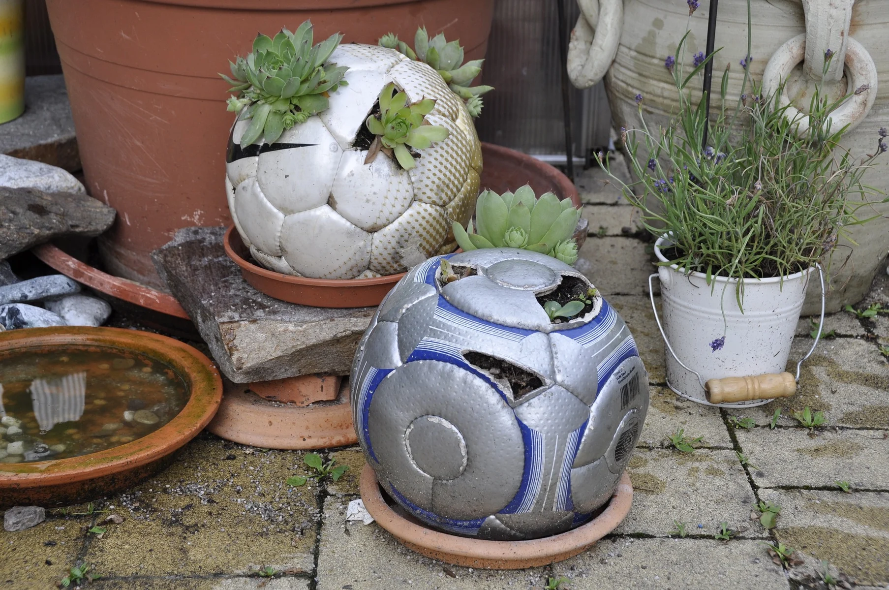Upcycle