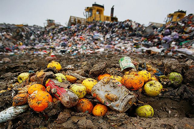 Reduce Food Waste